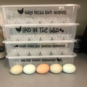 Reuseable egg container